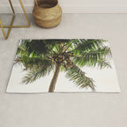 Coconut Bounty Rug Gallery Image 1