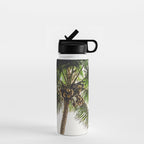 Coconut Bounty Water Bottle Gallery Image 1