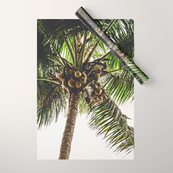 Coconut Bounty Wrapping Paper Gallery Image 1