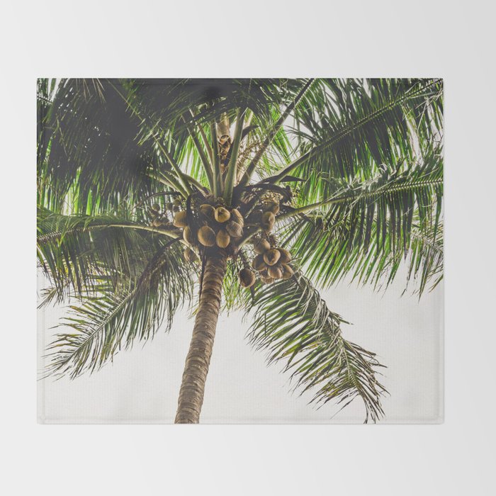 Coconut Bounty Throw Blanket Gallery Image 2