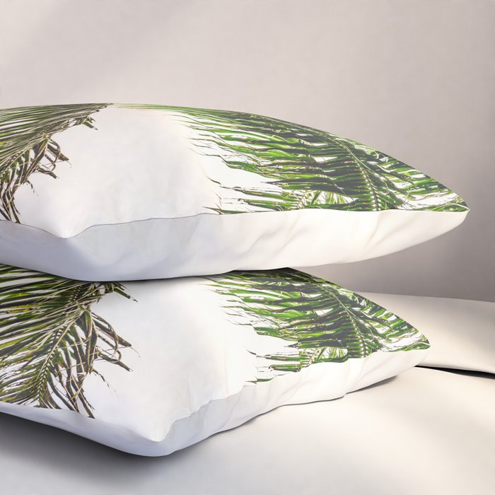 Coconut Bounty Pillow Sham Gallery Image 3