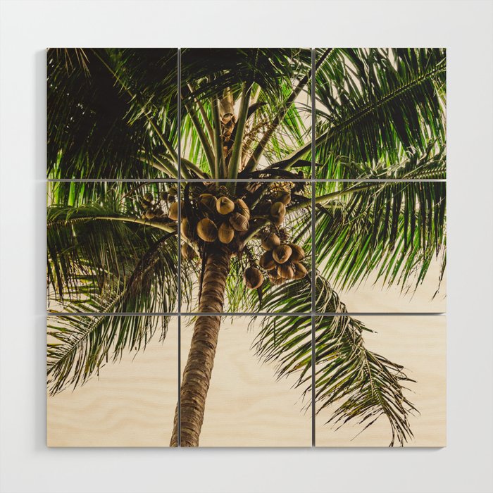 Coconut Bounty Wood Wall Art Gallery Image 1