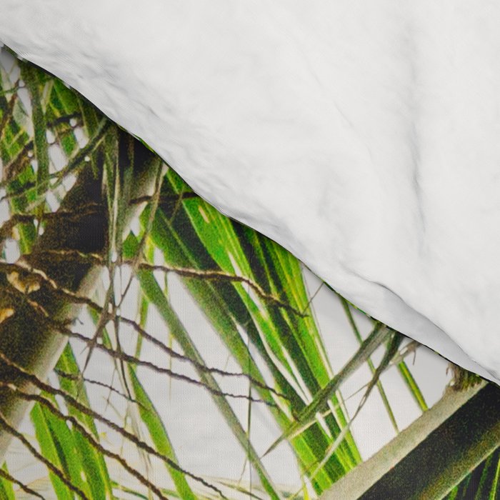 Coconut Bounty Comforter Gallery Image 4