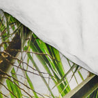 Coconut Bounty Comforter Gallery Image 4