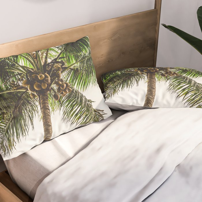 Coconut Bounty Pillow Sham Gallery Image 2