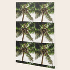 Coconut Bounty Wallpaper Gallery Image 2