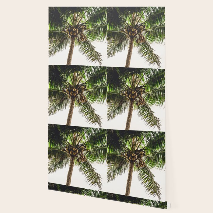 Coconut Bounty Wallpaper Gallery Image 2