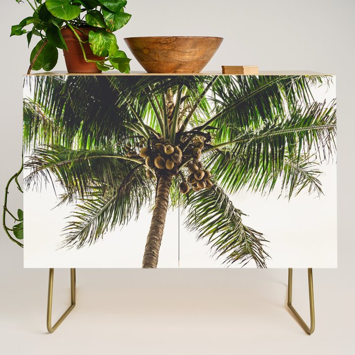Coconut Bounty Credenza Gallery Image 1