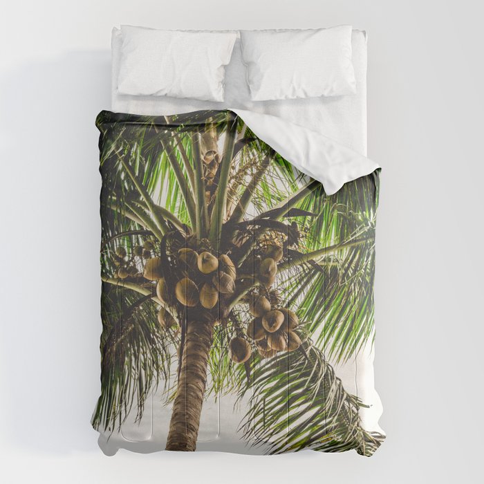 Coconut Bounty Comforter Gallery Image 6