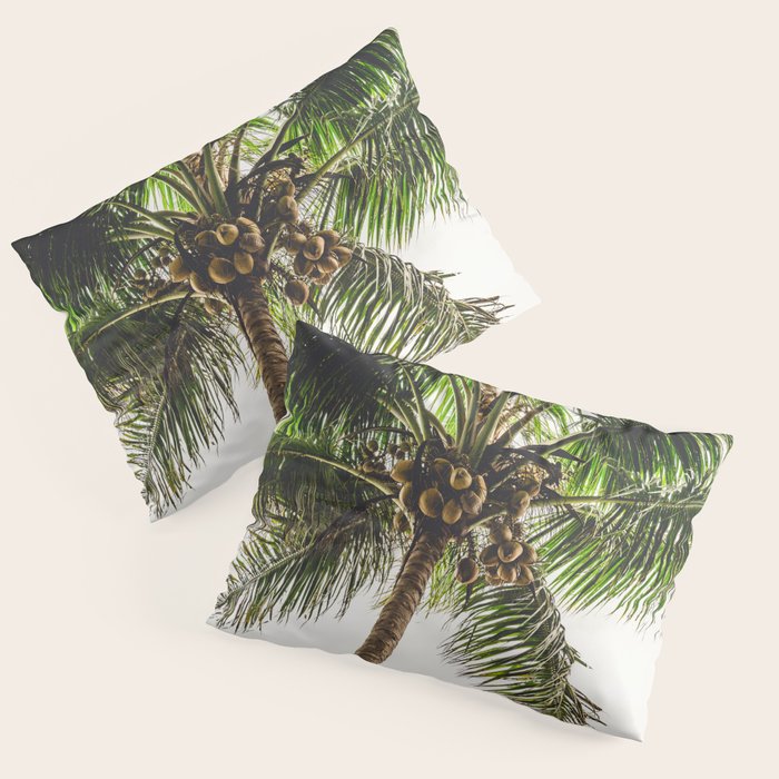 Coconut Bounty Pillow Sham Gallery Image 1