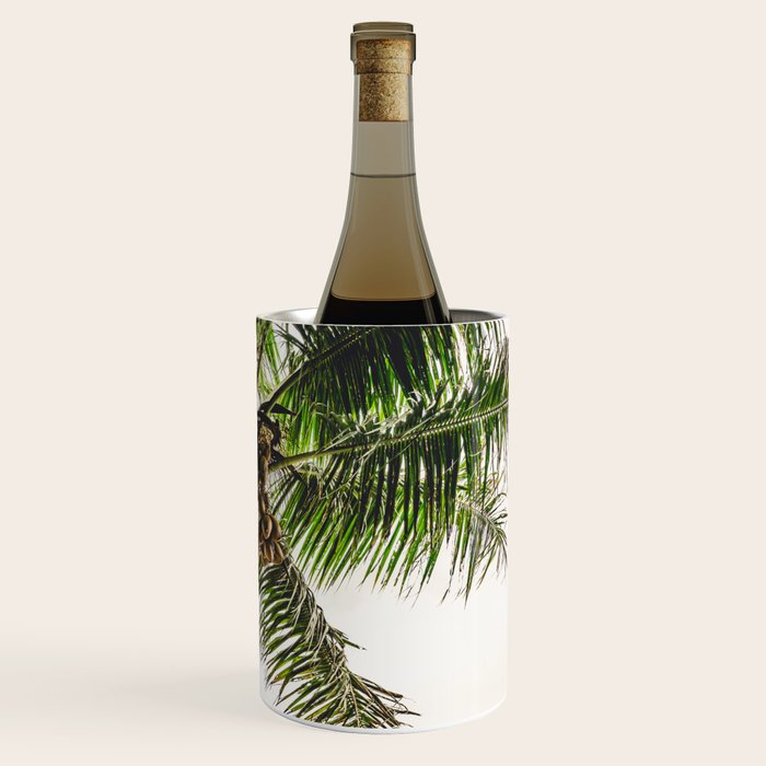 Coconut Bounty Wine Chiller Gallery Image 3