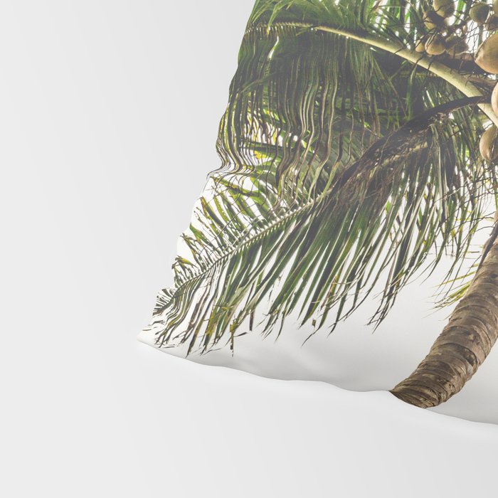 Coconut Bounty Pillow Sham Gallery Image 4
