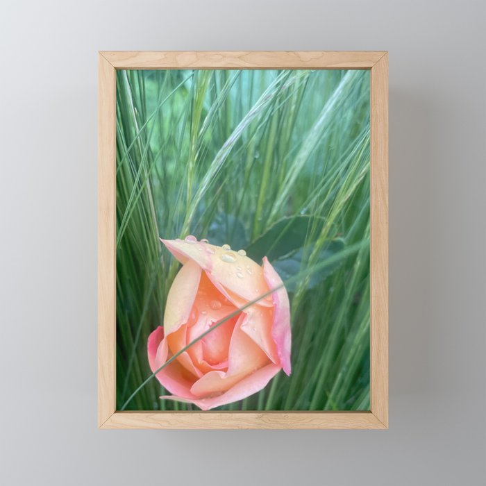Elemental Forces Mini Art Print Gallery Image 1