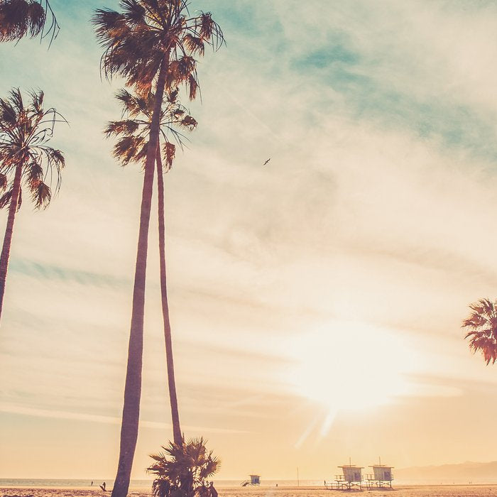 Venice Beach California Coffee Mug Gallery Image 2