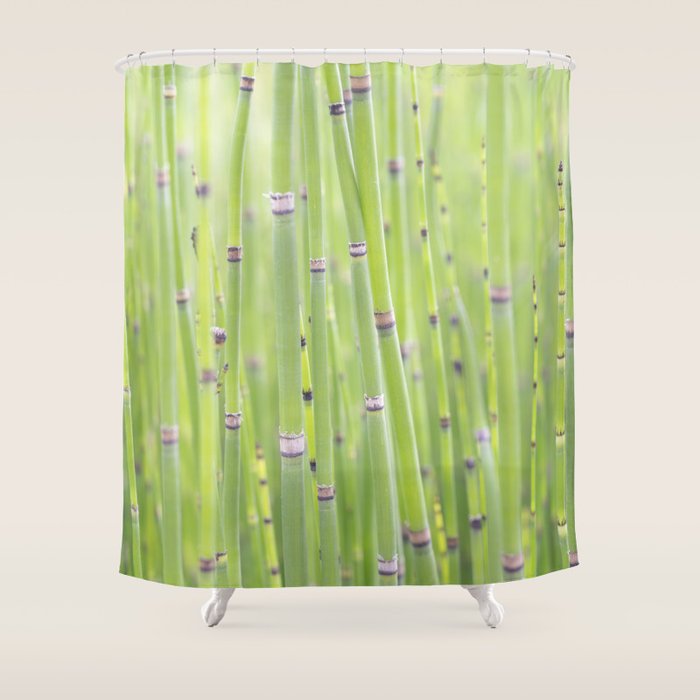 Spring green bamboo - abstract natural plant pattern - botanical photography Shower Curtain Gallery Image 1
