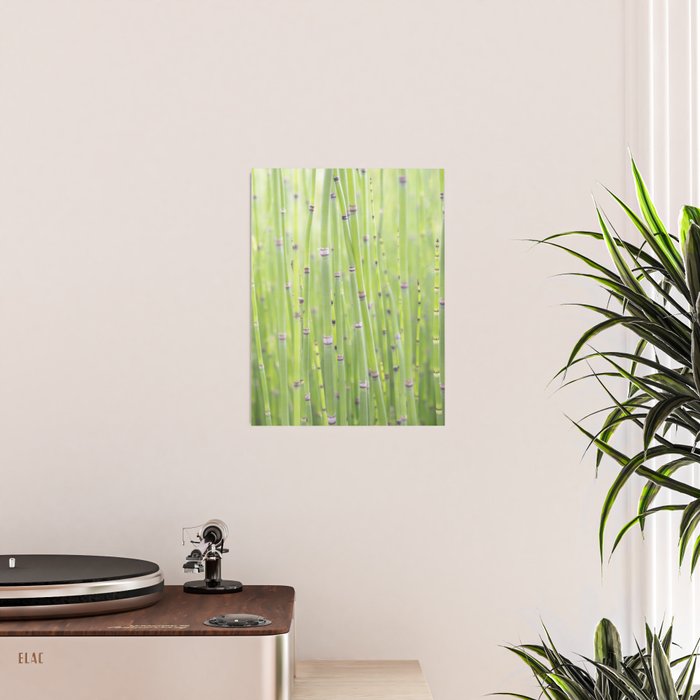 Spring green bamboo - abstract natural plant pattern - botanical photography Poster Gallery Image 2