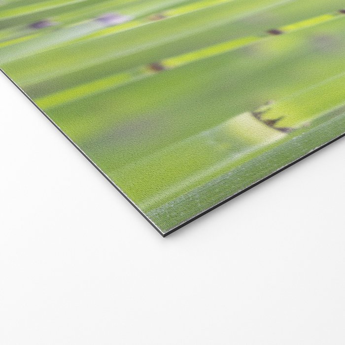 Spring green bamboo - abstract natural plant pattern - botanical photography Welcome Mat Gallery Image 2