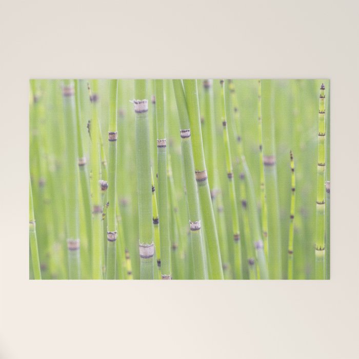 Spring green bamboo - abstract natural plant pattern - botanical photography Welcome Mat Gallery Image 1