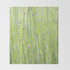 Spring green bamboo - abstract natural plant pattern - botanical photography Throw Blanket Gallery Image 2