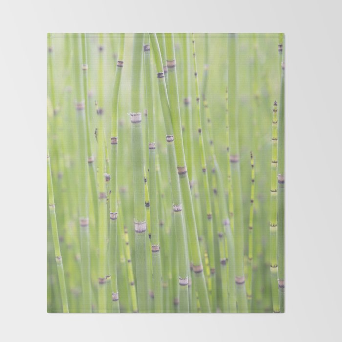 Spring green bamboo - abstract natural plant pattern - botanical photography Throw Blanket Gallery Image 2
