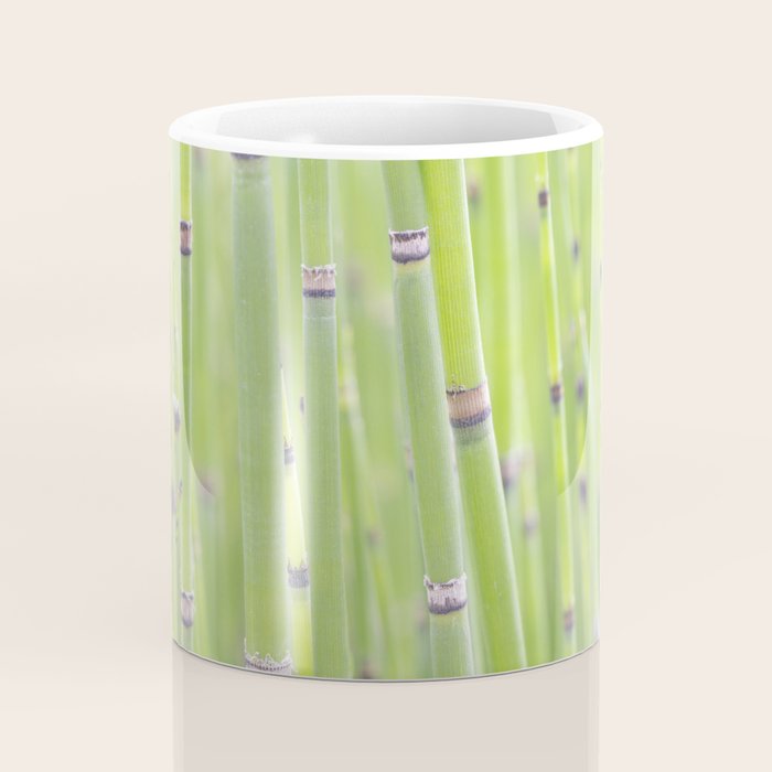 Spring green bamboo - abstract natural plant pattern - botanical photography Coffee Mug Gallery Image 4