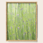 Spring green bamboo - abstract natural plant pattern - botanical photography Serving Tray Gallery Image 1