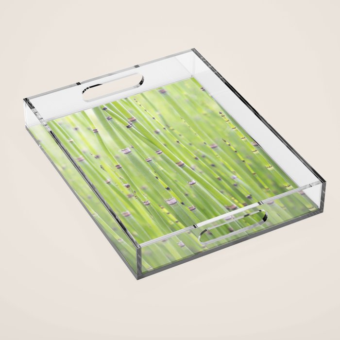 Spring green bamboo - abstract natural plant pattern - botanical photography Acrylic Tray Gallery Image 1