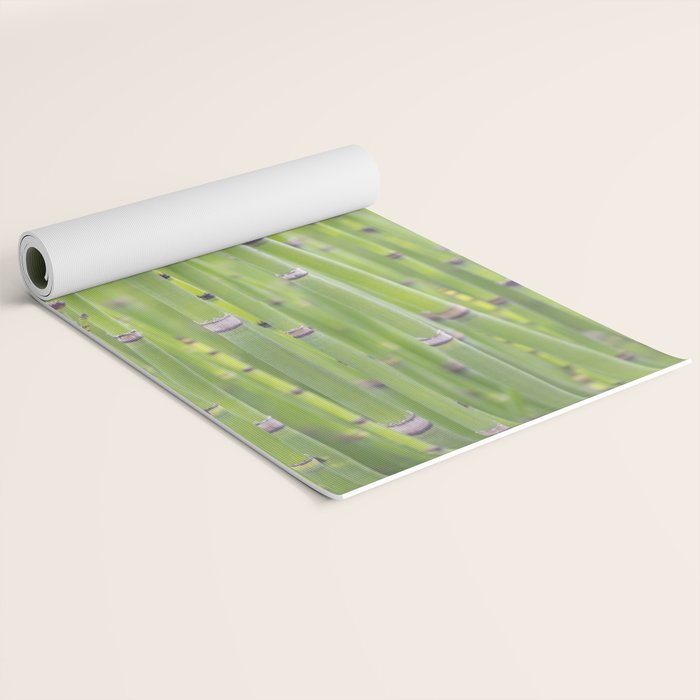 Spring green bamboo - abstract natural plant pattern - botanical photography Yoga Mat Gallery Image 2