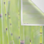 Spring green bamboo - abstract natural plant pattern - botanical photography Wall Tapestry Gallery Image 3