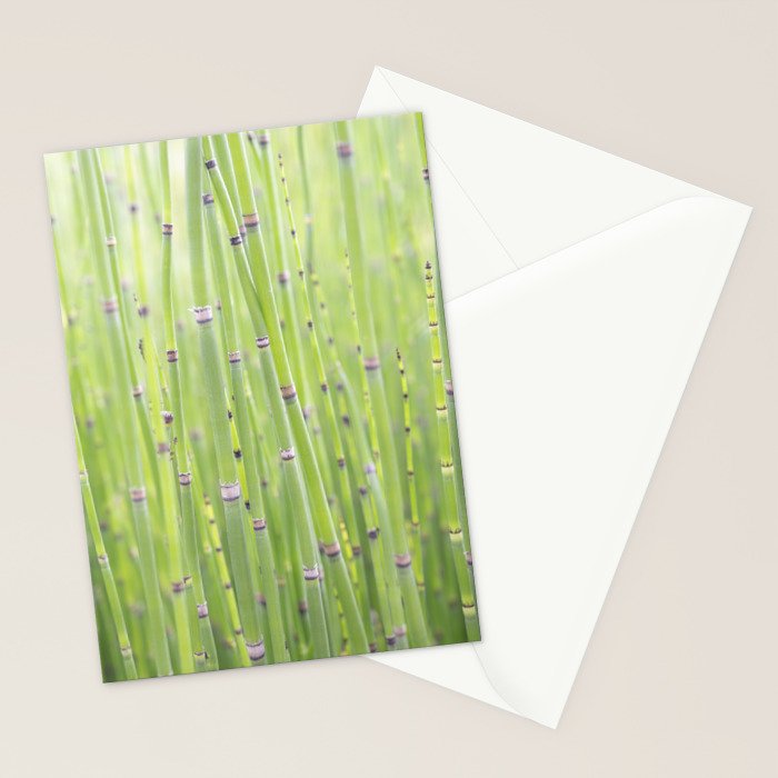 Spring green bamboo - abstract natural plant pattern - botanical photography Stationery Card Gallery Image 2