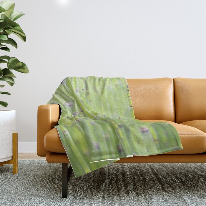 Spring green bamboo - abstract natural plant pattern - botanical photography Throw Blanket Gallery Image 1