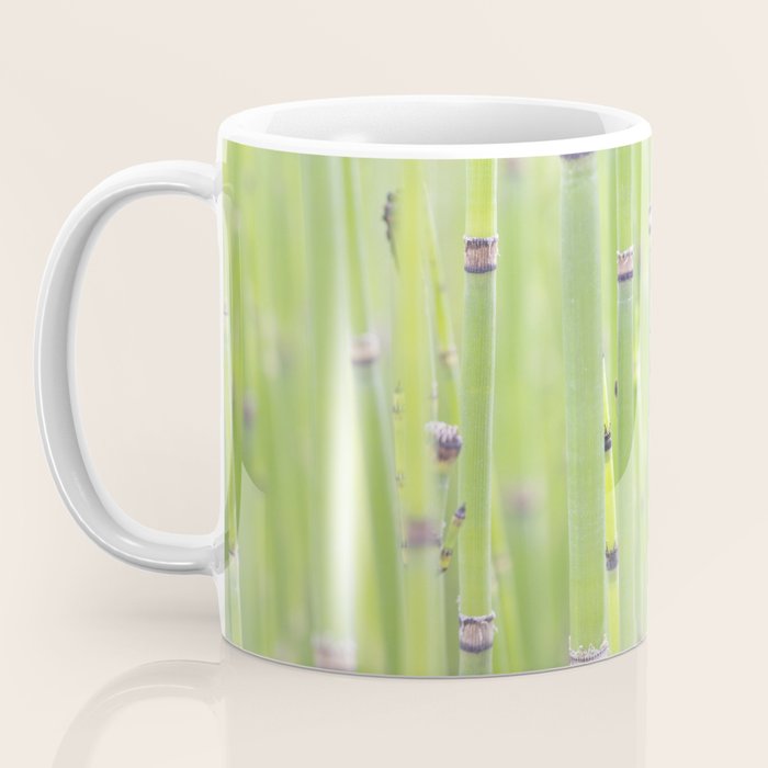 Spring green bamboo - abstract natural plant pattern - botanical photography Coffee Mug Gallery Image 3