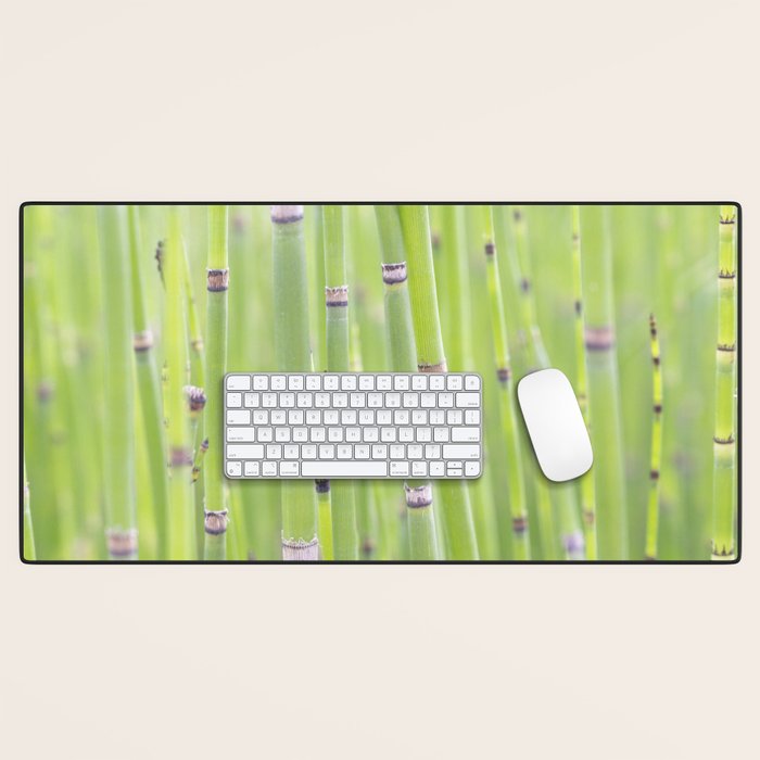 Spring green bamboo - abstract natural plant pattern - botanical photography Desk Mat Gallery Image 1
