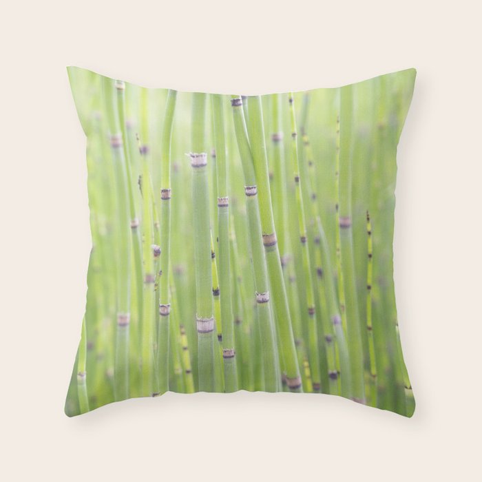 Spring green bamboo - abstract natural plant pattern - botanical photography Throw Pillow Gallery Image 6