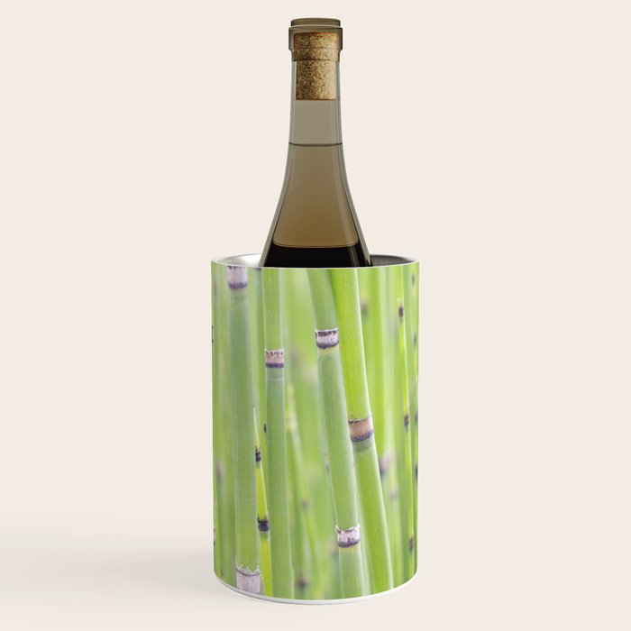 Spring green bamboo - abstract natural plant pattern - botanical photography Wine Chiller Gallery Image 1