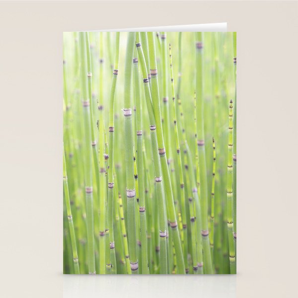 Spring green bamboo - abstract natural plant pattern - botanical photography Stationery Card Gallery Image 2
