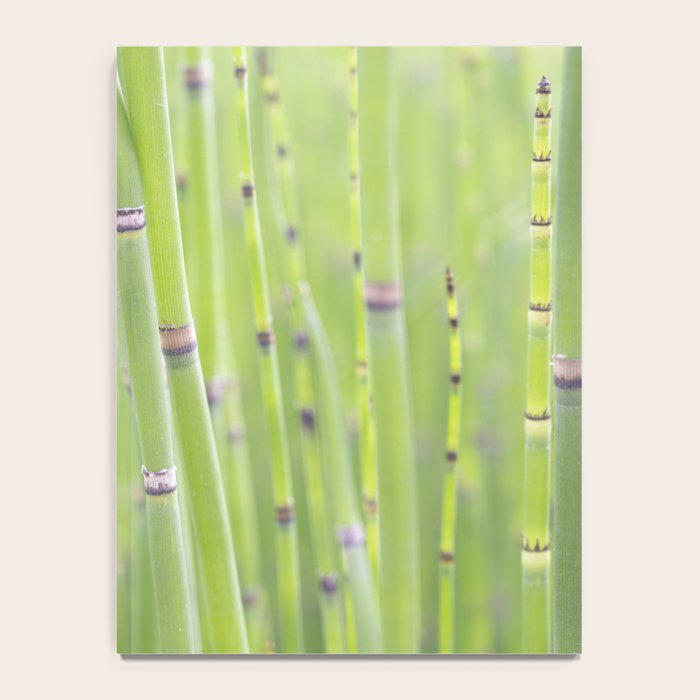 Spring green bamboo - abstract natural plant pattern - botanical photography Notebook Gallery Image 4