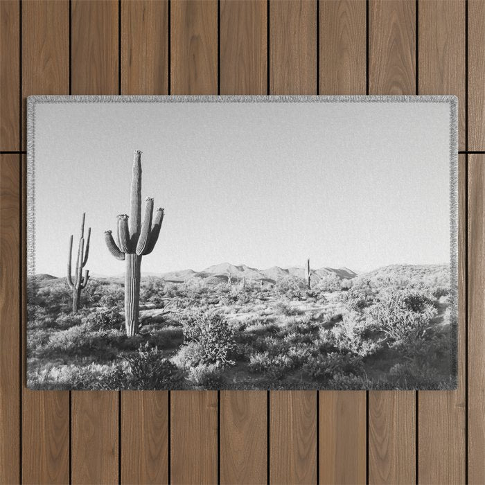 DESERT II / Phoenix, Arizona Outdoor Rug Gallery Image 1