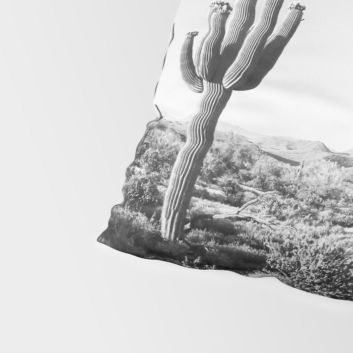 DESERT II / Phoenix, Arizona Pillow Sham Gallery Image 4