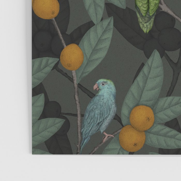 Green & Turquoise Parrotlets and Loquats Poster Gallery Image 3