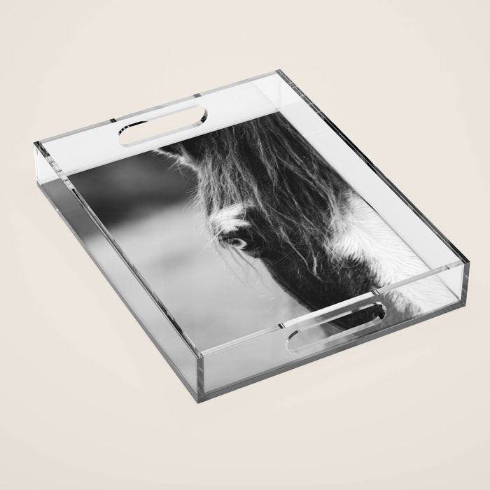 Blue Eye - horse photography Acrylic Tray Gallery Image 1