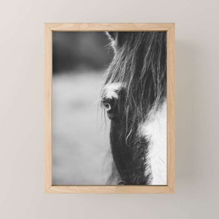 Blue Eye - horse photography Mini Art Print Gallery Image 1