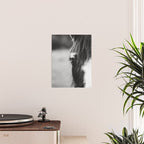Blue Eye - horse photography Poster Gallery Image 2