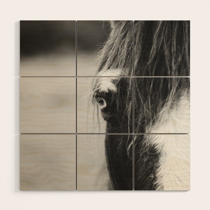 Blue Eye - horse photography Wood Wall Art Gallery Image 1