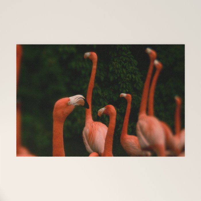 Chorus Line - Flamingo Art Welcome Mat Gallery Image 1