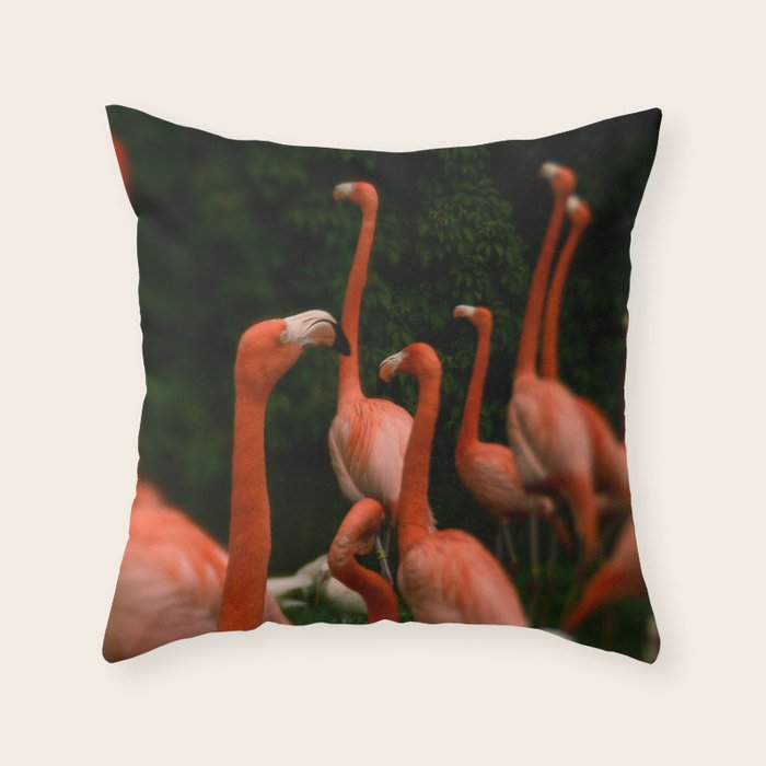 Chorus Line - Flamingo Art Throw Pillow Gallery Image 1
