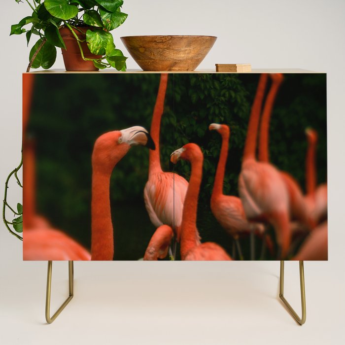 Chorus Line - Flamingo Art Credenza Gallery Image 1