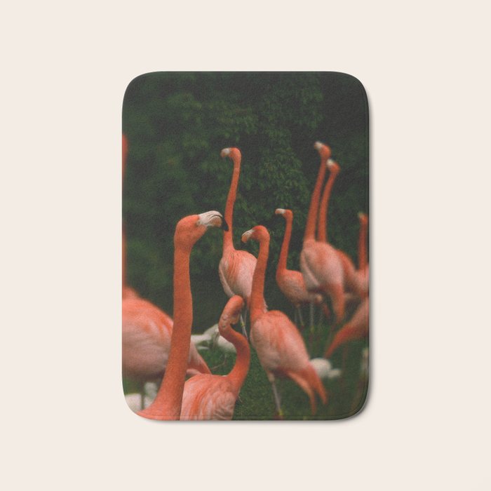 Chorus Line - Flamingo Art Bath Mat Gallery Image 1