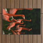 Chorus Line - Flamingo Art Outdoor Rug Gallery Image 1