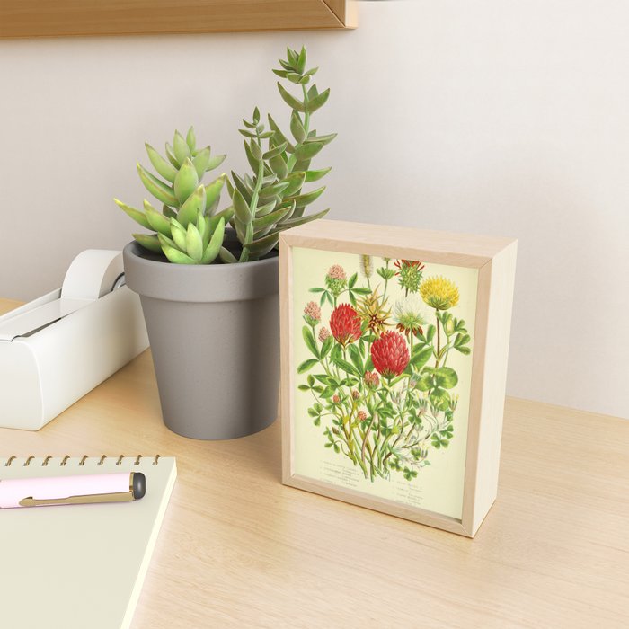 Clover by Anne Pratt, 1800s (benefitting The Nature Conservancy) Mini Art Print Gallery Image 2